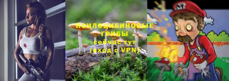 нарко площадка официальный сайт  Пугачёв  Псилоцибиновые грибы MAGIC MUSHROOMS  где купить наркотик 